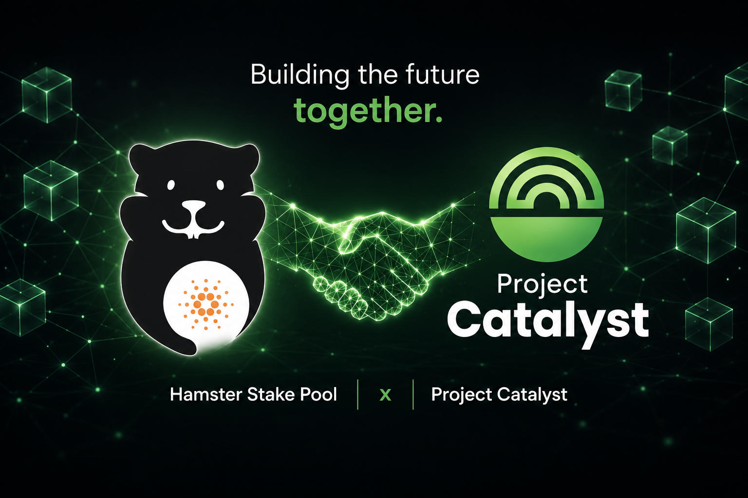 Cardano Catalyst Pilot: Förderung für praktische Umsetzung