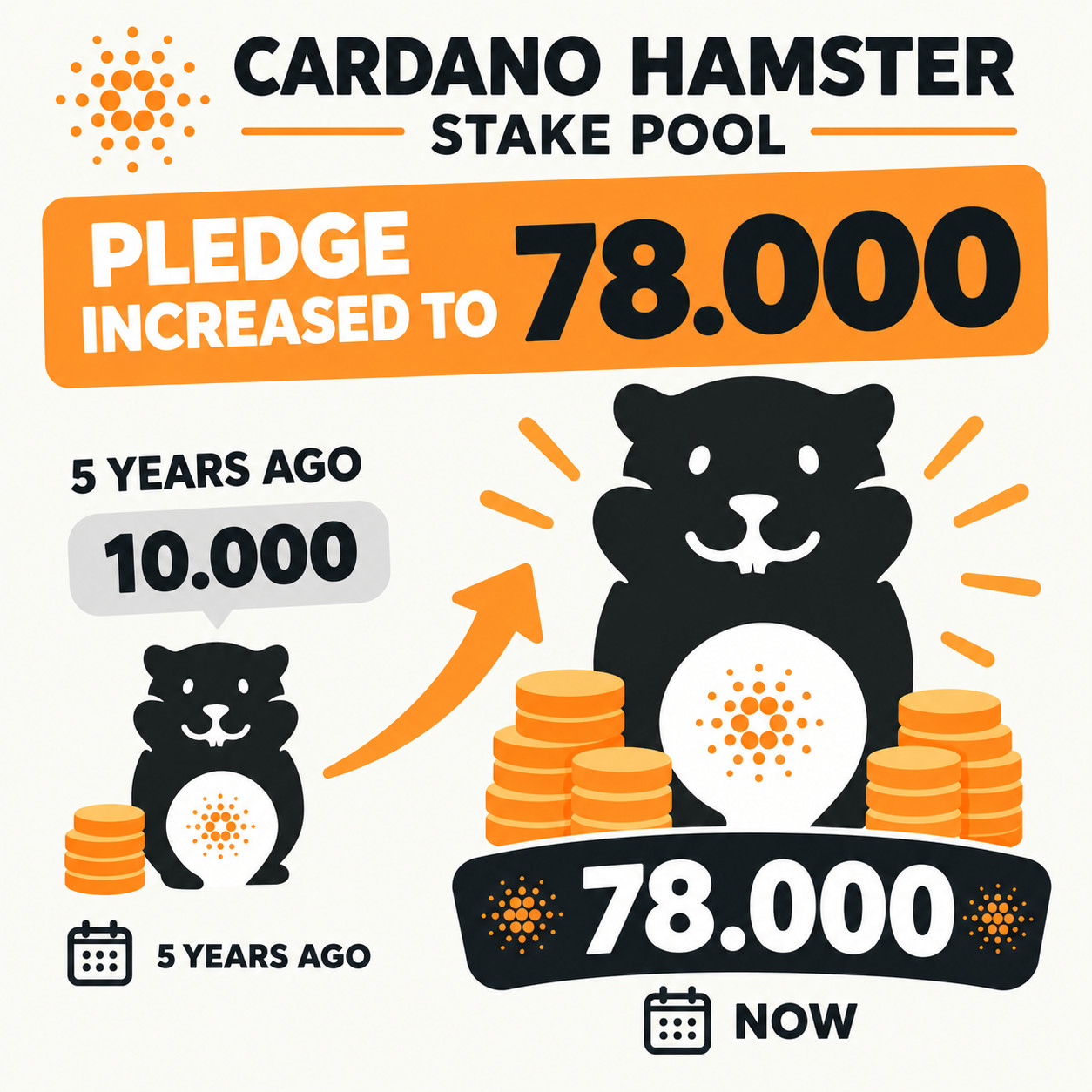 Cardano Stake Pool Pledge: Why I Still Believe